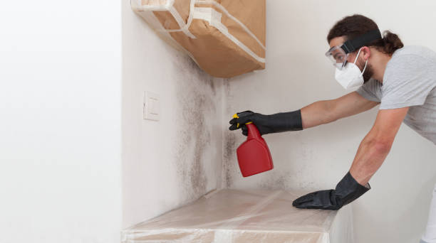 Professional Crawl Space Mold Remediation technician working in Stevensville, MI
